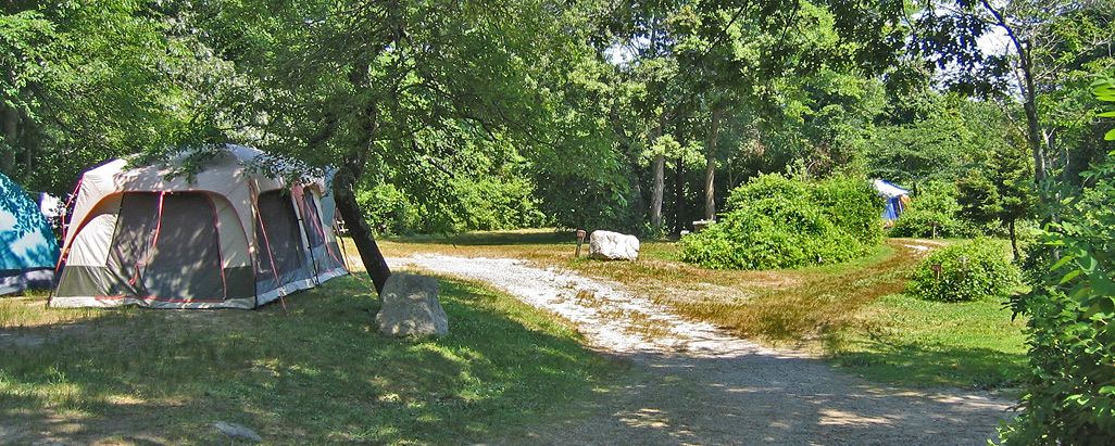 RV site at Shady Knoll Campground